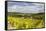 Champagne Vineyards Above the Village of Viviers Sur Artaut-Julian Elliott-Framed Stretched Canvas