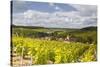 Champagne Vineyards Above the Village of Viviers Sur Artaut-Julian Elliott-Stretched Canvas