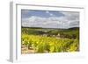 Champagne Vineyards Above the Village of Viviers Sur Artaut-Julian Elliott-Framed Photographic Print