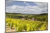 Champagne Vineyards Above the Village of Viviers Sur Artaut-Julian Elliott-Mounted Photographic Print