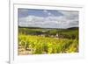 Champagne Vineyards Above the Village of Viviers Sur Artaut-Julian Elliott-Framed Photographic Print