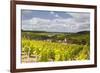 Champagne Vineyards Above the Village of Viviers Sur Artaut-Julian Elliott-Framed Photographic Print