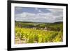 Champagne Vineyards Above the Village of Viviers Sur Artaut-Julian Elliott-Framed Photographic Print