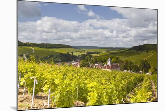 Champagne Vineyards Above the Village of Viviers Sur Artaut-Julian Elliott-Mounted Photographic Print