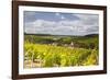 Champagne Vineyards Above the Village of Viviers Sur Artaut-Julian Elliott-Framed Photographic Print