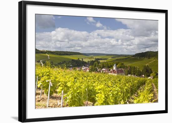 Champagne Vineyards Above the Village of Viviers Sur Artaut-Julian Elliott-Framed Photographic Print