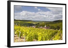 Champagne Vineyards Above the Village of Viviers Sur Artaut-Julian Elliott-Framed Photographic Print