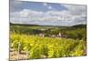 Champagne Vineyards Above the Village of Viviers Sur Artaut-Julian Elliott-Mounted Photographic Print