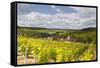 Champagne Vineyards Above the Village of Viviers Sur Artaut-Julian Elliott-Framed Stretched Canvas