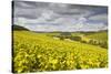 Champagne Vineyards Above the Village of Viviers Sur Artaut-Julian Elliott-Stretched Canvas