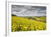 Champagne Vineyards Above the Village of Viviers Sur Artaut-Julian Elliott-Framed Photographic Print