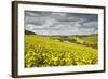 Champagne Vineyards Above the Village of Viviers Sur Artaut-Julian Elliott-Framed Photographic Print