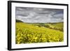 Champagne Vineyards Above the Village of Viviers Sur Artaut-Julian Elliott-Framed Photographic Print