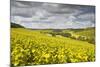 Champagne Vineyards Above the Village of Viviers Sur Artaut-Julian Elliott-Mounted Photographic Print