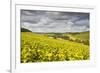 Champagne Vineyards Above the Village of Viviers Sur Artaut-Julian Elliott-Framed Photographic Print