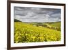 Champagne Vineyards Above the Village of Viviers Sur Artaut-Julian Elliott-Framed Photographic Print