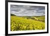 Champagne Vineyards Above the Village of Viviers Sur Artaut-Julian Elliott-Framed Photographic Print