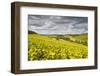 Champagne Vineyards Above the Village of Viviers Sur Artaut-Julian Elliott-Framed Photographic Print