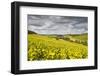 Champagne Vineyards Above the Village of Viviers Sur Artaut-Julian Elliott-Framed Photographic Print