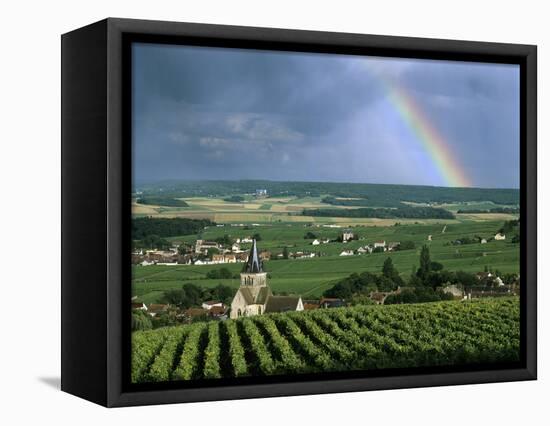 Champagne Vineyards and Rainbow, Ville-Dommange, Near Reims, Champagne, France, Europe-Stuart Black-Framed Stretched Canvas