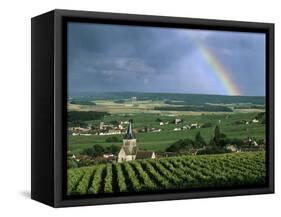 Champagne Vineyards and Rainbow, Ville-Dommange, Near Reims, Champagne, France, Europe-Stuart Black-Framed Stretched Canvas