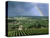 Champagne Vineyards and Rainbow, Ville-Dommange, Near Reims, Champagne, France, Europe-Stuart Black-Stretched Canvas