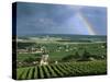 Champagne Vineyards and Rainbow, Ville-Dommange, Near Reims, Champagne, France, Europe-Stuart Black-Stretched Canvas