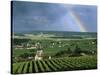 Champagne Vineyards and Rainbow, Ville-Dommange, Near Reims, Champagne, France, Europe-Stuart Black-Stretched Canvas