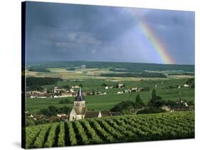 Champagne Vineyards and Rainbow, Ville-Dommange, Near Reims, Champagne, France, Europe-Stuart Black-Stretched Canvas