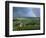 Champagne Vineyards and Rainbow, Ville-Dommange, Near Reims, Champagne, France, Europe-Stuart Black-Framed Photographic Print