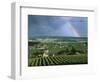 Champagne Vineyards and Rainbow, Ville-Dommange, Near Reims, Champagne, France, Europe-Stuart Black-Framed Photographic Print