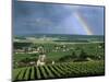 Champagne Vineyards and Rainbow, Ville-Dommange, Near Reims, Champagne, France, Europe-Stuart Black-Mounted Photographic Print