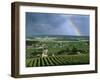 Champagne Vineyards and Rainbow, Ville-Dommange, Near Reims, Champagne, France, Europe-Stuart Black-Framed Photographic Print