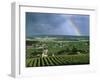 Champagne Vineyards and Rainbow, Ville-Dommange, Near Reims, Champagne, France, Europe-Stuart Black-Framed Photographic Print