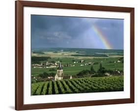 Champagne Vineyards and Rainbow, Ville-Dommange, Near Reims, Champagne, France, Europe-Stuart Black-Framed Photographic Print