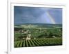 Champagne Vineyards and Rainbow, Ville-Dommange, Near Reims, Champagne, France, Europe-Stuart Black-Framed Photographic Print