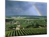 Champagne Vineyards and Rainbow, Ville-Dommange, Near Reims, Champagne, France, Europe-Stuart Black-Mounted Photographic Print