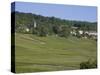 Champagne Vineyards, Hautvillers, Marne Valley, France, Europe-Rolf Richardson-Stretched Canvas