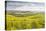 Champagne Vineyards in the Cote Des Bar Area of Aube, Champagne-Ardenne, France, Europe-Julian Elliott-Stretched Canvas