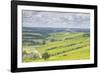 Champagne Vineyards in the Cote Des Bar Area of Aube, Champagne-Ardennes, France, Europe-Julian Elliott-Framed Photographic Print