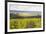 Champagne Vineyards in the Cote Des Bar Area of Aube, Champagne-Ardennes, France, Europe-Julian Elliott-Framed Photographic Print