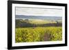 Champagne Vineyards in the Cote Des Bar Area of Aube, Champagne-Ardennes, France, Europe-Julian Elliott-Framed Photographic Print