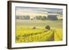 Champagne Vineyards in the Cote Des Bar Area of Aube, Champagne-Ardennes, France, Europe-Julian Elliott-Framed Photographic Print