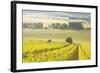 Champagne Vineyards in the Cote Des Bar Area of Aube, Champagne-Ardennes, France, Europe-Julian Elliott-Framed Photographic Print