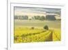 Champagne Vineyards in the Cote Des Bar Area of Aube, Champagne-Ardennes, France, Europe-Julian Elliott-Framed Photographic Print