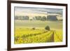 Champagne Vineyards in the Cote Des Bar Area of Aube, Champagne-Ardennes, France, Europe-Julian Elliott-Framed Photographic Print