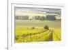 Champagne Vineyards in the Cote Des Bar Area of Aube, Champagne-Ardennes, France, Europe-Julian Elliott-Framed Photographic Print