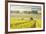 Champagne Vineyards in the Cote Des Bar Area of Aube, Champagne-Ardennes, France, Europe-Julian Elliott-Framed Photographic Print