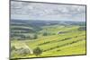 Champagne Vineyards in the Cote Des Bar Area of Aube, Champagne-Ardennes, France, Europe-Julian Elliott-Mounted Photographic Print