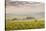 Champagne Vineyards in the Cote Des Bar Area of the Aube Department Near to Les Riceys-Julian Elliott-Stretched Canvas